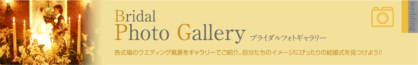 �u���C�_���t�H�g�M�������[