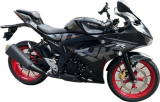 GSⅩ-R125