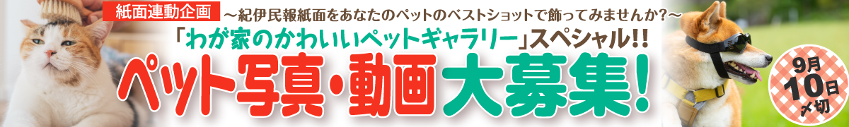 ybgʐ^WII