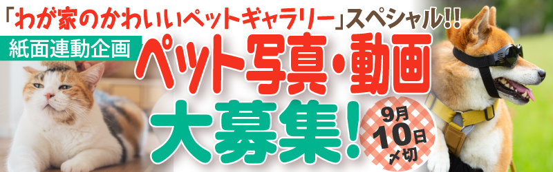 ybgʐ^WII