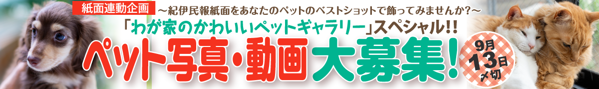 �y�b�g�ʐ^��W���I�I
