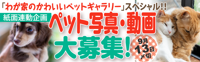 �y�b�g�ʐ^��W���I�I